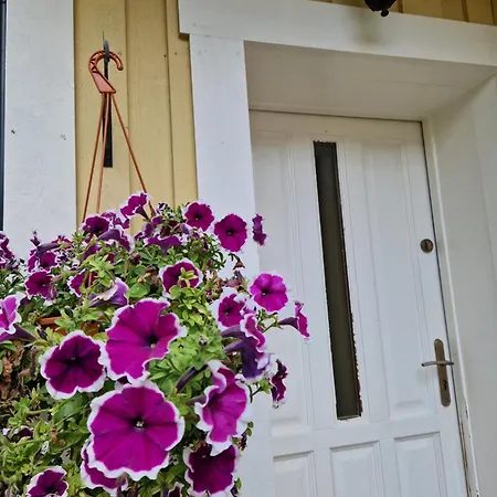 Апартаменты Rumianka Румя